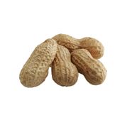 Gürbüzler 250 gr Kabuklu Yer Fıstığı
