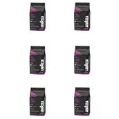 Gusto Forte Çekirdek Kahve 6 Ad X 1000 Gr Çekirdek