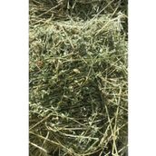 Güven Yem Kuru Yonca Kemirgen Otu 5 Kg Paket.