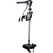 Haibo M250 120 lBS 24V Fırçasız Elektrikli Motor