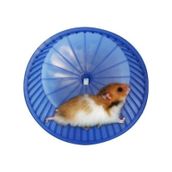 Hamster Çarkı Büyük Karışık Renk