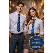 Harry Potter Ravenclaw Lisanslı Öğrenci Kravat Hogwarts Cosplay Mavi