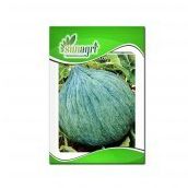 Hasanbey 10 gr Kavun Tohumu