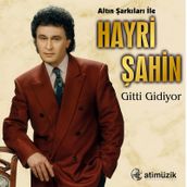 Hayri Şahin - Gitti Gidiyor - Plak