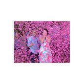 Hb Tasarım Cinsiyet Partisi 1 Adet Pembe Konfeti Cinsiyet Belirleme Konfetisi Gender Reveal Kız Mı Erkek Mi