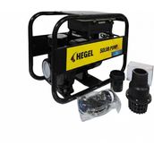 Hegel - İnges Solar Yüzey Pompası Ac-Dc 2200W - Hem Güneş Paneliyle Hemde Şebeke Elektriğiyle