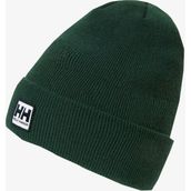 Helly Hansen Urban Cuff Unisex Yeşil Bere 67154-574 - Standart