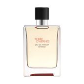 Hermes Terre D'Hermes Intense EDP 50 ml Erkek Parfümü