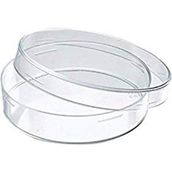 Hobs Lab 90 mm 28 Adet Plastik Petri Kabı