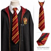 Hsc Bilişim Harry Potter Gryffindor Fermuarlı Ayarlanabilir Kravat - 1 Ay