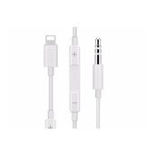 Hytech HY-XKO55 1 m 3.5 mm To Lightning Ses Kablosu