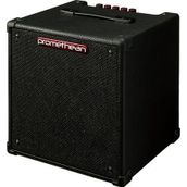 Ibanez P20-U 20 w Kombo Bas Gitar Amfisi