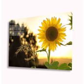 İdeal Glass Art Ayçiçeği 4 mm Dayanıklı Temperli Cam Tablo