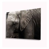 İdeal Glass Art Fil 4 mm Dayanıklı Temperli Cam Tablo