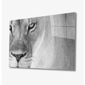 İdeal Glass Art İdealizbiz Aslan 4 mm Dayanıklı Temperli Cam Tablo