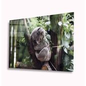 İdeal Glass Art Koala 4 mm Dayanıklı Temperli Cam Tablo