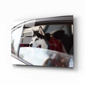 İdeal Glass Art Köpek Cam Tablo