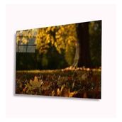 İdeal Glass Art Sonbahar 4 mm Dayanıklı Temperli Cam Tablo