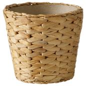 IKEA Frıdfull Su Sümbülü 12 cm Saksı