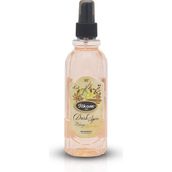 İlkom Dark Spice 260 ml Sprey Kolonya