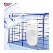 Imac Bibber 400 ml Guinea Pig ve Tavşan Suluğu