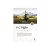 İncil’in Kısa Bir Özeti - lev nikolayevich tolstoy Kayhan Yükseler
