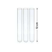 İnfigo Concept Duvar Çiçekliği Cam Tüpü 3 Adet - 12 Cm Deney Tüpü