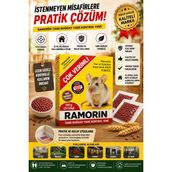 isiltikidsmoda Tane Buğday Fare Kontrol Yemi 250 gr Pratik Kullanım