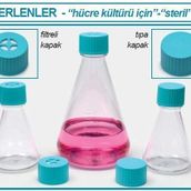 İSOLAB 027.17.250 erlen - PETG - 250 ml - düz kapaklı - 12 adet