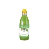 Iv San Bernard Mint Shampoo Canlandırıcı ve Onarıcı Naneli 500 ml Kedi Köpek Şampuanı