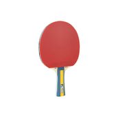 Joola Team Master Ittf Onaylı Masa Tenisi Raketi
