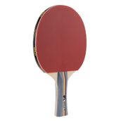 Joola Team School Ittf Onaylı Masa Tenisi Raketi