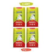 Jungle Papağan Yemi Çekirdekli Fıstıklı Yüksek Vitaminli 500 gr x 4 Adet