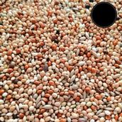 Karışık 10 Kg Muhabbet Kuşu Yemi