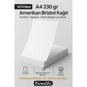 KarmaOfis A4 50 Adet Amerikan Bristol Kağıdı