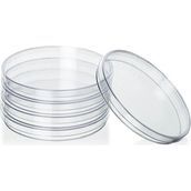 Kavlan Plastik Petri Kabı Gama Steril 150 mm 10 Ad/pk