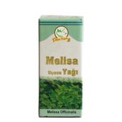 Kayısı İste 20 ml Melisa Yağı