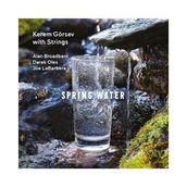 Kerem Görsev - Spring Water - Plak