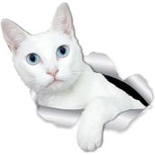 Kırık Cam Efekti Kedi Araba Oto Sticker Etiket Z4