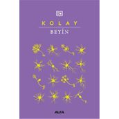 Kolay Beyin Alfa Yayınları
