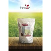 Kolostrumlu Buzağı Maması "Üstün Kalitede Süt" Maması 1Kg
