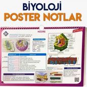 Kr Akademi Yayınları Biyoloji Poster Notlar