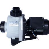Kripsol Niger Kng 1 HP Trifaze Pool Pump Havuz Pompası