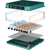 Kuluçka Makinesi Epo-130my Extra Hediyeli 130 Yumutalık Yedek Motorlu İncubator (Lisinya)