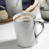 Kütahya Porselen Frıesland Kaplama Mug Bardak