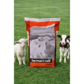 Lacmari Kuzu,oğlak ve buzağı yetiştirme maması ital 3 KG