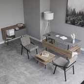 Lagomood Irony Maxi İki Koltuklu Ofis Takımı Antrasit Ceviz - Antrasit - Ceviz