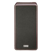 Laney A-DUO 2x8 Akustik Gitar Amfisi