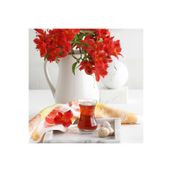 Lav Ajda Cam Çay Bardağı 6 Kişilik 165 ml