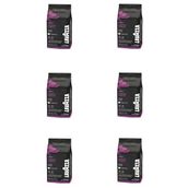 Lavazza Çekirdek Kahve Gusto Forte Expert 6 kg İtalya Menşeli Yumuşak Lezzetli Kahve